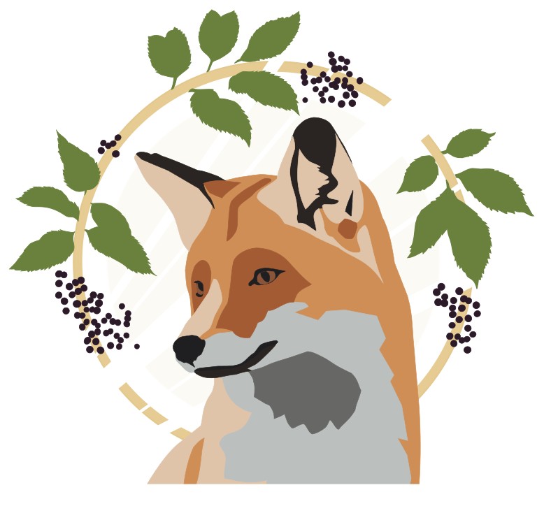 Fox and Elder Workshop